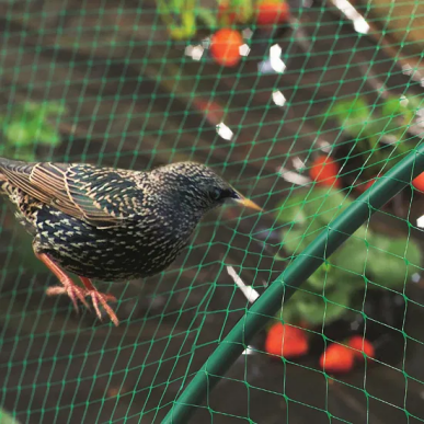PP Bird Net